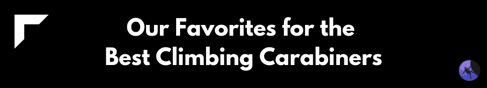 Our Favorites for the Best Climbing Carabiners