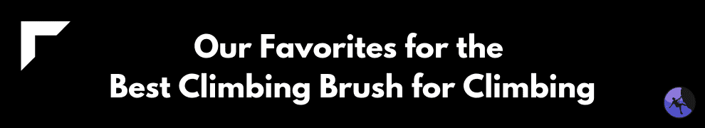 Our Favorites for the Best Climbing Brush for Climbing