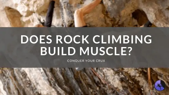 Does Rock Climbing Build Muscle?