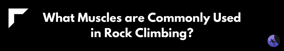 What Muscles are Commonly Used in Rock Climbing?