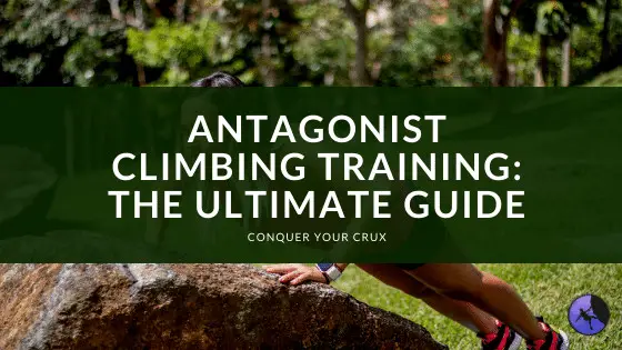 Antagonist Climbing Training: The Ultimate Guide