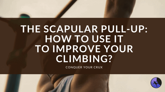 The Scapular Pull-Up How to Use it to Improve Your Climbing