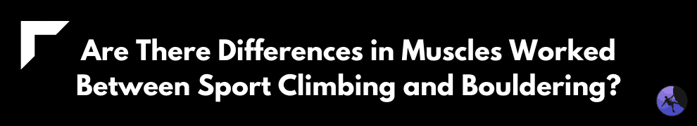 Are There Differences in Muscles Worked Between Sport Climbing and Bouldering?