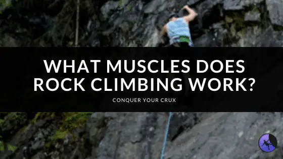 What Muscles Does Rock Climbing Work
