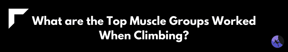 What are the Top Muscle Groups Worked When Climbing?